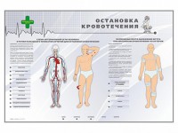 Электрифицированный стенд "Остановка кровотечения" - fgospostavki.ru - Муравленко