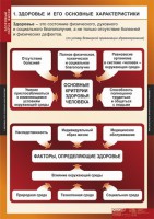Комплект таблиц. ОБЖ. Здоровый образ жизни. - fgospostavki.ru - Муравленко