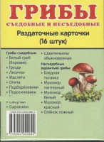 Раздаточные карточки "Грибы съедобные и не съедобные" - fgospostavki.ru - Муравленко