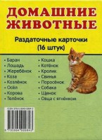 Раздаточные карточки "Домашние животные" - fgospostavki.ru - Муравленко