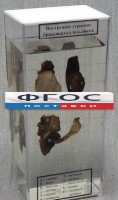Влажный препарат "Внутреннее строение брюхоногого моллюска" - fgospostavki.ru - Муравленко