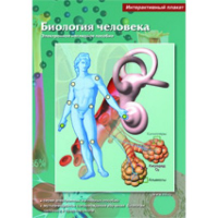 Интерактивные плакаты. Биология человека. Программно-методический комплекс - fgospostavki.ru - Муравленко