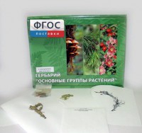 Гербарий "Основные группы растений" (52 листа) - fgospostavki.ru - Муравленко