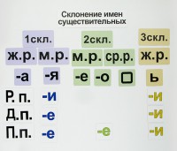 Набор магнитных карточек "Склонение имен существительных" - fgospostavki.ru - Муравленко