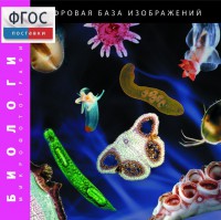 Биология. Микрофотографии. (Цифровая база изображений) - fgospostavki.ru - Муравленко