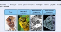 Интерактивные курсы. Биология 5 класс. Расширенный - fgospostavki.ru - Муравленко