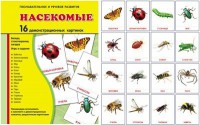 Демонстрационные карточки "Насекомые" - fgospostavki.ru - Муравленко