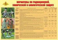 Плакат "Нормативы по радиационной, химической и биологической защите" - fgospostavki.ru - Муравленко