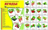 Демонстрационные карточки "Ягоды" - fgospostavki.ru - Муравленко