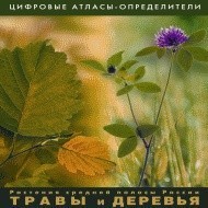 Растения средней полосы России "Травы и Деревья". (Цифровые атласы-определители) - fgospostavki.ru - Муравленко