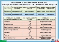 Таблица. Сравнение понятий изомер и гомолог. Функциональные группы классов органических веществ. - fgospostavki.ru - Муравленко