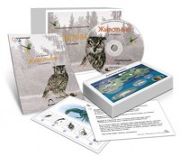 Комбинированное наглядное пособие «Животные» - fgospostavki.ru - Муравленко