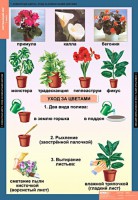Комплект таблиц. Окружающий мир 1 класс. - fgospostavki.ru - Муравленко