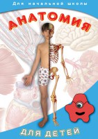DVD "Анатомия для детей" - fgospostavki.ru - Муравленко