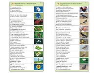 Комплект карточек (10) "Обучающий калейдоскоп. Природа" - fgospostavki.ru - Муравленко