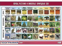 Таблица демонстрационная "Почвы, растения и животные природных зон" (винил 70*100) - fgospostavki.ru - Муравленко