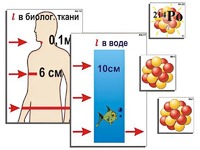 Модель-аппликация "Явление радиоактивности" (ламинированная) - fgospostavki.ru - Муравленко