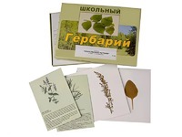 Гербарий "Лекарственные растения" (22 вида с иллюстрациями) - fgospostavki.ru - Муравленко