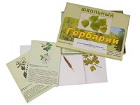 Гербарий "Сельскохозяйственные растения" (30 видов, с иллюстрациями) - fgospostavki.ru - Муравленко