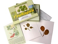 Гербарий "Систематика растений. Семейство Розоцветные" (раздаточный) - fgospostavki.ru - Муравленко
