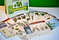 Гербарий к курсу основ общей биологии - fgospostavki.ru - Муравленко
