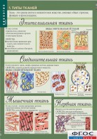 Комплект таблиц. Биология 8-9 класс. Человек. - fgospostavki.ru - Муравленко