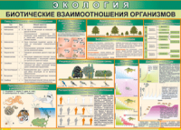 Таблица "Биотические взаимоотношения организмов" (100х140 сантиметров, винил) - fgospostavki.ru - Муравленко