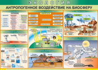 Таблица "Антропогенное воздействие на биосферу" (100х140 сантиметров, винил) - fgospostavki.ru - Муравленко