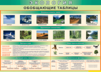 Таблица "Экология. Обобщающие таблицы" (100х140 сантиметров, винил) - fgospostavki.ru - Муравленко