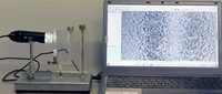 Лабораторная установка «Определение коэффициента взаимной диффузии воздуха и водяного пара»  - fgospostavki.ru - Муравленко