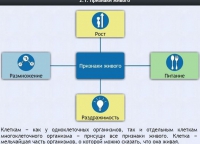 Интерактивные курсы. Биология 5 класс. Базовый - fgospostavki.ru - Муравленко