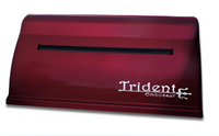 Принтер для печати рельефно-точечным шрифтом Брайля Trident - fgospostavki.ru - Муравленко