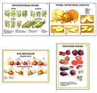 Плакаты ПРОФТЕХ "Ассортимент овощных культур" (12 пл, винил, 70х100) - fgospostavki.ru - Муравленко