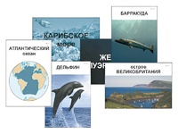 Модель-аппликация "Океаны. Знакомство" (ламинированная) - fgospostavki.ru - Муравленко