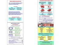 Плакаты ПРОФТЕХ "Классификации и виды мяса" (4 пл, винил, 70х100) - fgospostavki.ru - Муравленко