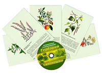 Интерактивный наглядный комплекс "Гербарий "Для начальной школы" - fgospostavki.ru - Муравленко