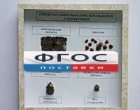 Коллекция энтомологическая "Примеры защитных приспособлений у насекомых" - fgospostavki.ru - Муравленко