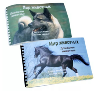 Пособие для слабовидящих - Домашние животные - fgospostavki.ru - Муравленко