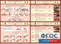 Стенд "Вязание крючком" - fgospostavki.ru - Муравленко