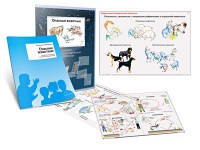 Комплект кодотранспарантов "Опасные животные" - fgospostavki.ru - Муравленко