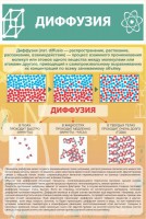 Стенд "Диффузия" - fgospostavki.ru - Муравленко