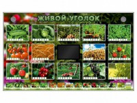 Комплект оборудования "Живой уголок" (растения) - fgospostavki.ru - Муравленко