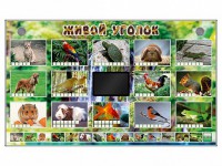 Комплект оборудования "Живой уголок" (животные) - fgospostavki.ru - Муравленко