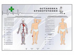 Электрифицированный стенд "Остановка кровотечения" - fgospostavki.ru - Муравленко