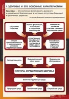 Комплект таблиц. ОБЖ. Здоровый образ жизни. - fgospostavki.ru - Муравленко