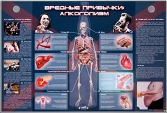 Электрифицированный стенд "Вредные привычки: алкоголизм" - fgospostavki.ru - Муравленко