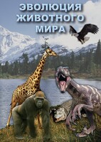 DVD "Эволюция животного мира" - fgospostavki.ru - Муравленко