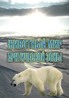 DVD "Животный мир Арктической зоны" - fgospostavki.ru - Муравленко