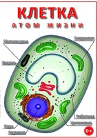 DVD "Клетка - "атом жизни" - fgospostavki.ru - Муравленко