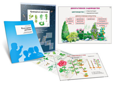 Комплект кодотранспарантов "Культурные растения" - fgospostavki.ru - Муравленко